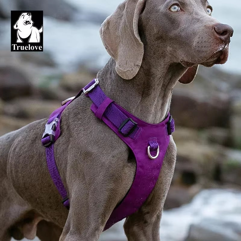 Transform Your Pup's Outdoor Adventures with Our Adjustable Lightweight Tactical Harness! Perfect for Every Size! 🐾✨